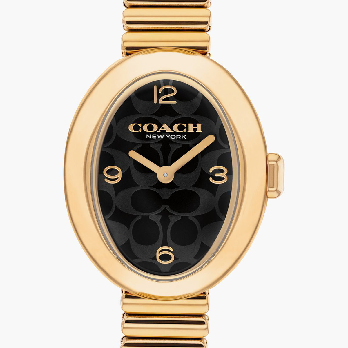 Sammy Women Quartz Black Dial Analog Stainless Steel Watch 14504571
