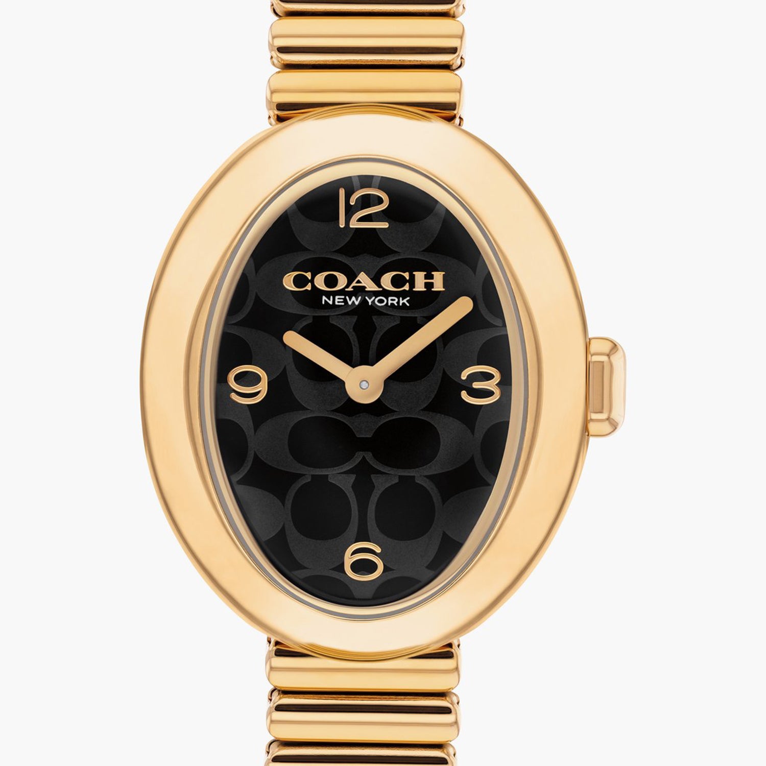 Sammy Women Quartz Black Dial Analog Stainless Steel Watch 14504571