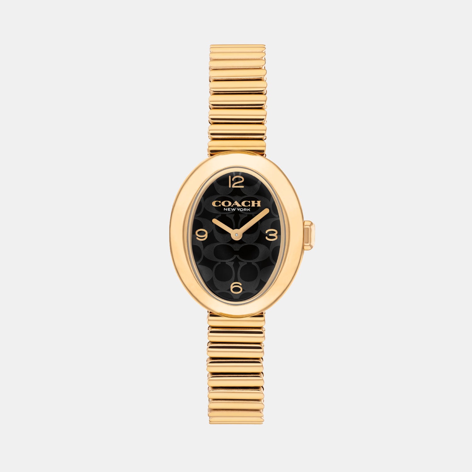 Sammy Women Quartz Black Dial Analog Stainless Steel Watch 14504571