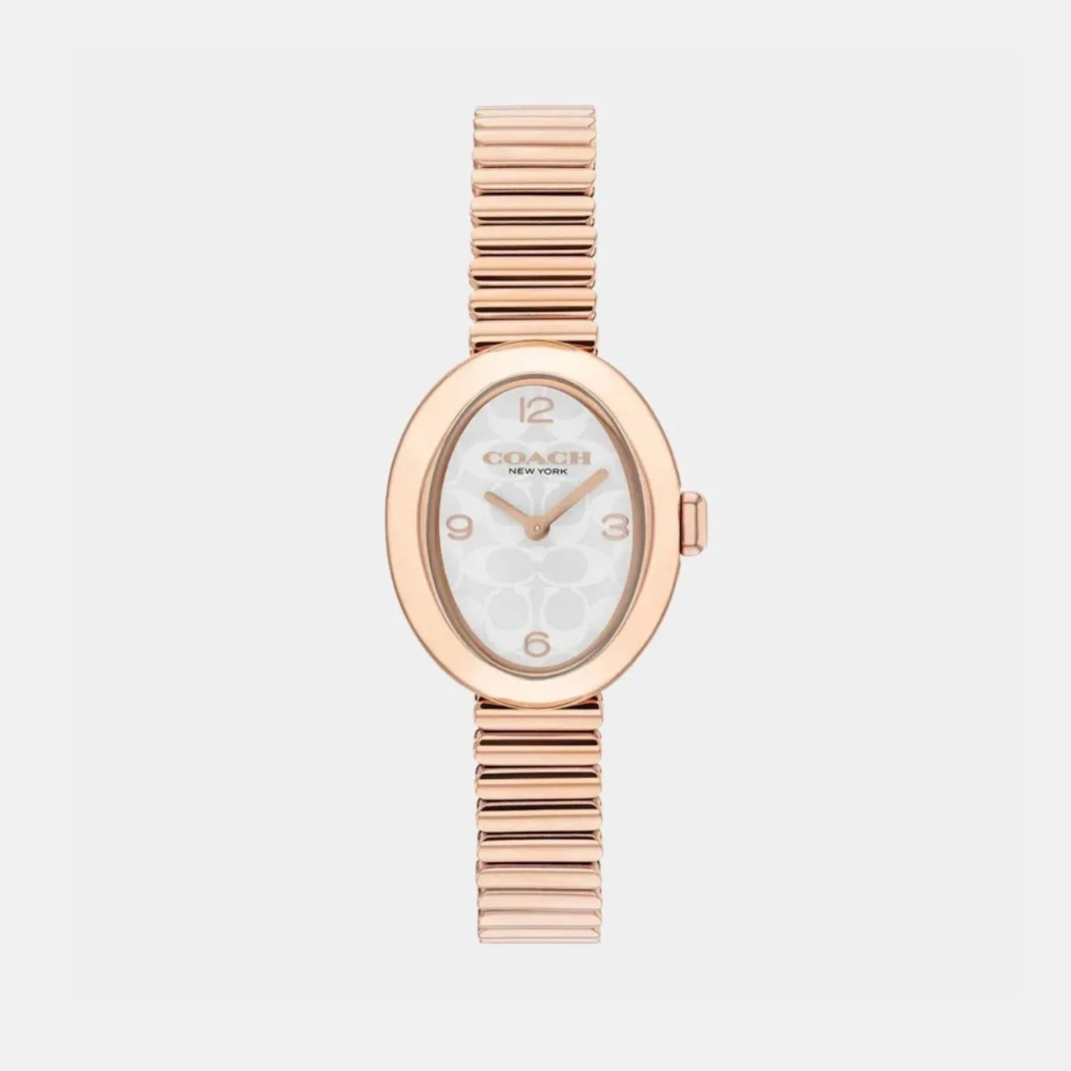 Sammy Women Quartz Silver White Dial Analog Stainless Steel Watch 14504572