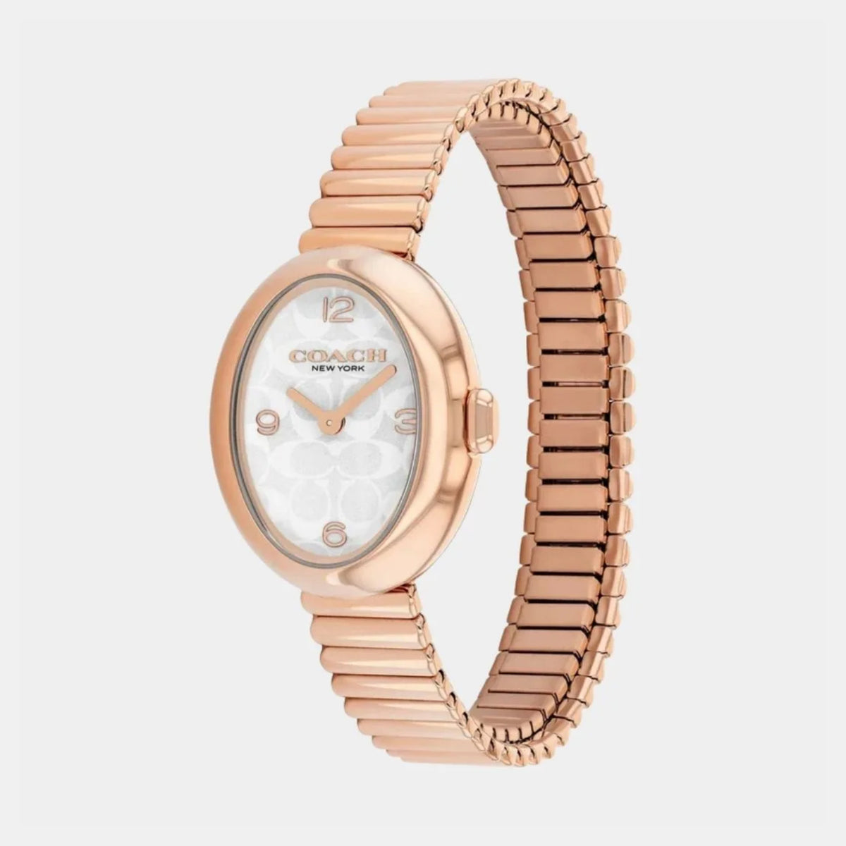 Sammy Women Quartz Silver Dial Analog Stainless Steel Watch 14504572