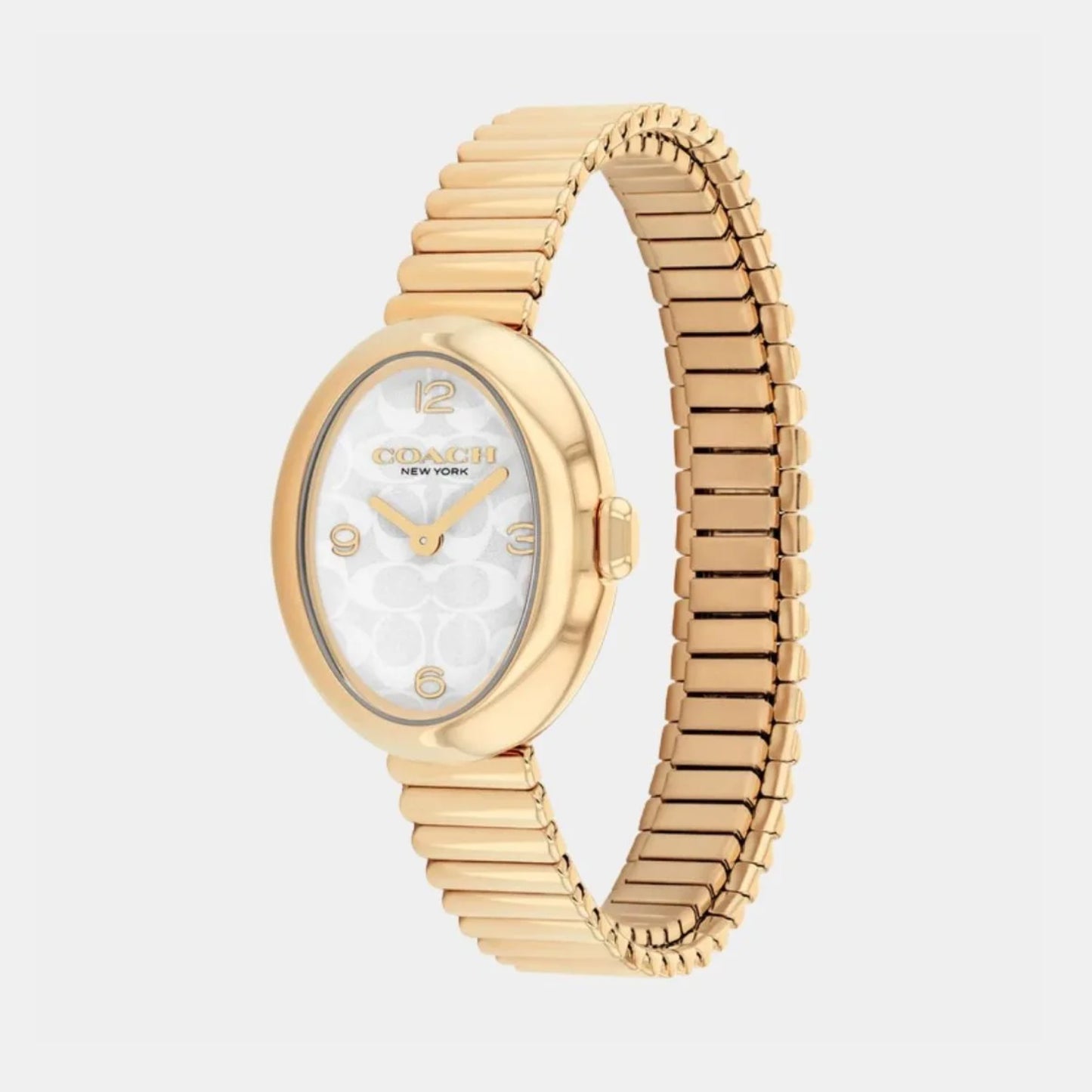 Sammy Women Quartz Silver White Dial Analog Stainless Steel Watch 14504573