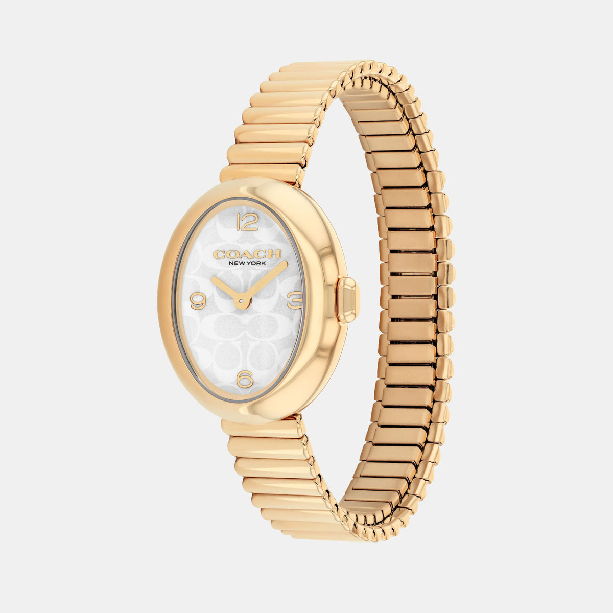Sammy Women Quartz Silver Dial Analog Stainless Steel Watch 14504573