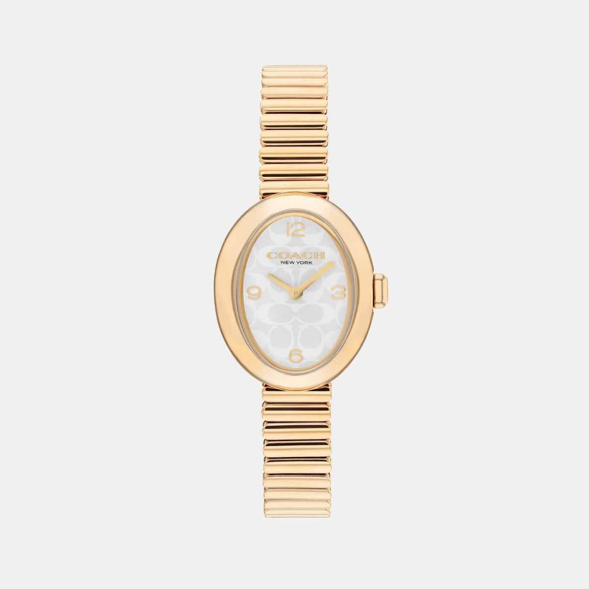 Sammy Women Quartz Silver Dial Analog Stainless Steel Watch 14504573