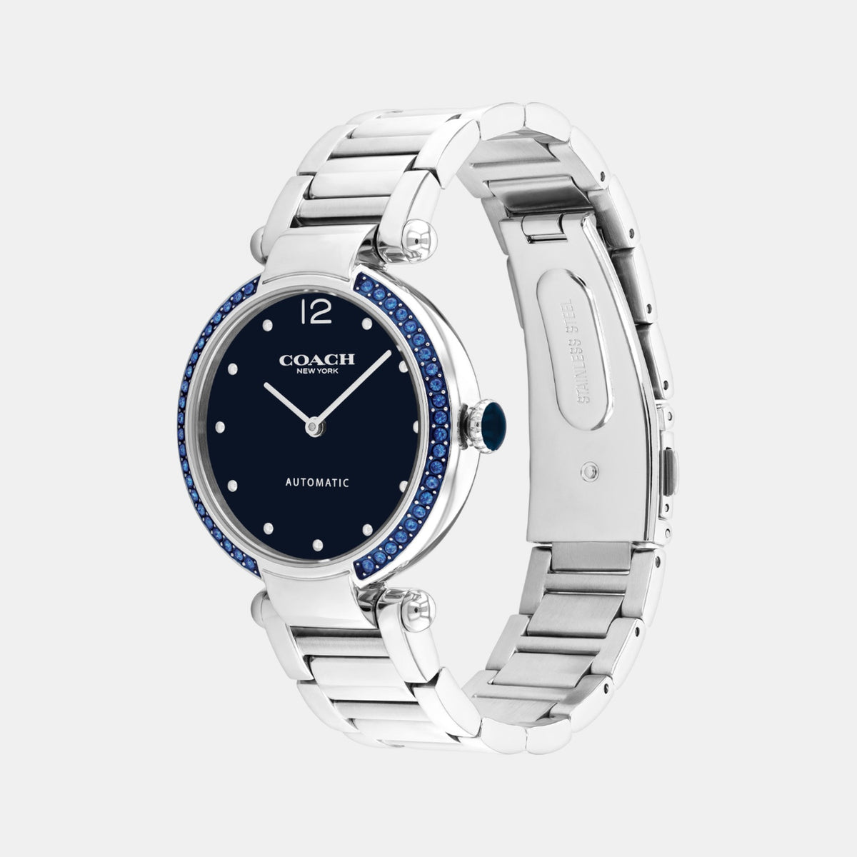 Cary Women Automatic Blue Dial Analog Stainless Steel Watch 14504578
