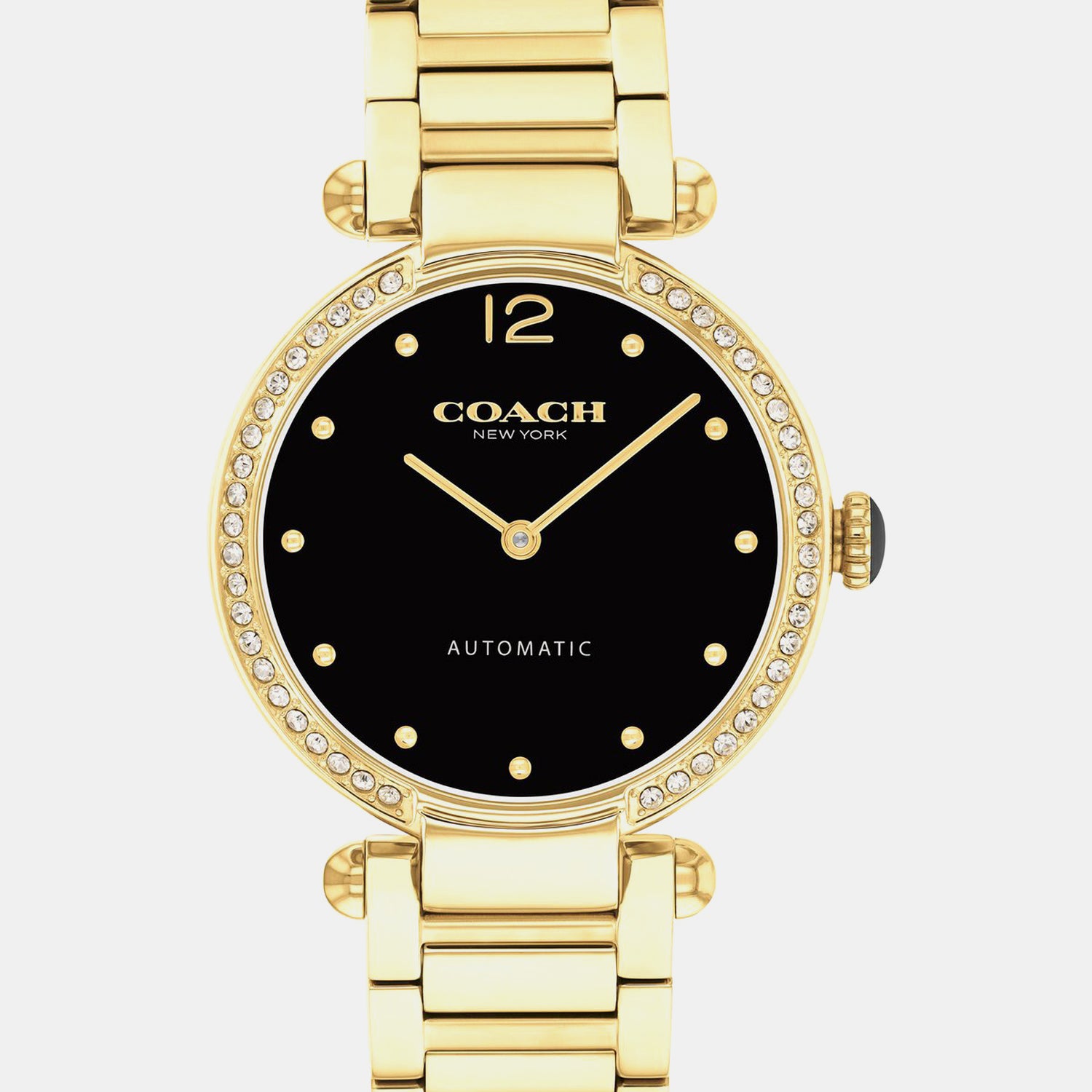 Cary Women Automatic Black Dial Analog Stainless Steel Watch 14504579