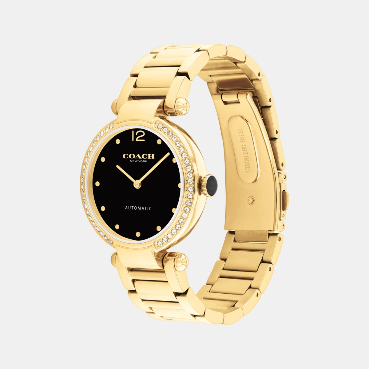 Cary Women Automatic Black Dial Analog Stainless Steel Watch 14504579