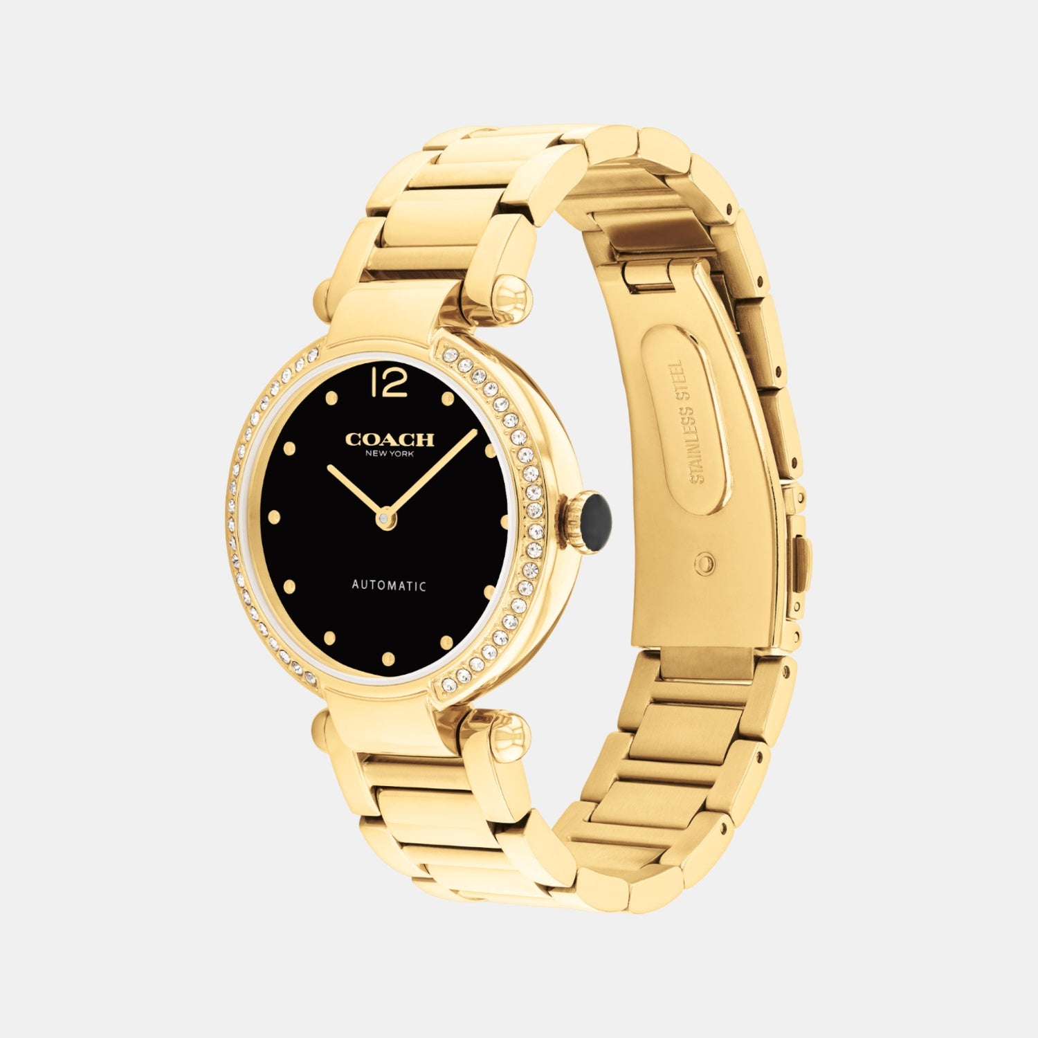 Cary Women Automatic Black Dial Analog Stainless Steel Watch 14504579