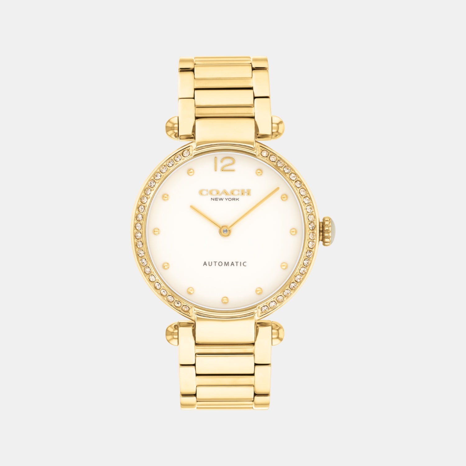 Cary Women Automatic Chalk Dial Analog Stainless Steel Watch 14504580