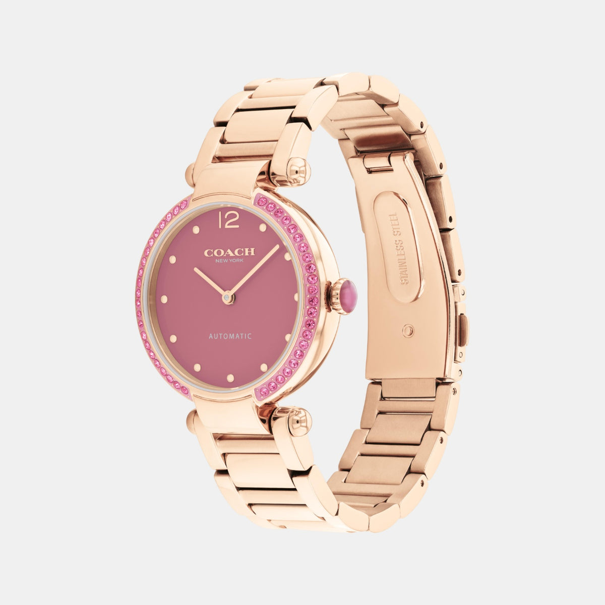 Cary Women Automatic Pink Dial Analog Stainless Steel Watch 14504581