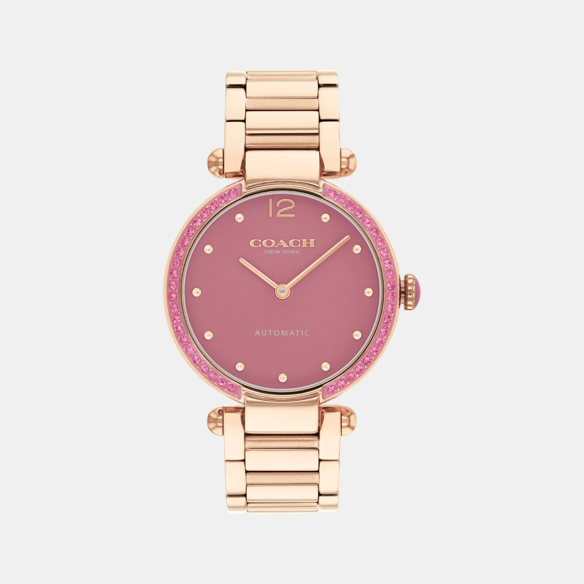 Cary Women Automatic Pink Dial Analog Stainless Steel Watch 14504581
