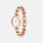 Sammy Women Quartz White Dial Analog Stainless Steel Watch 14504640