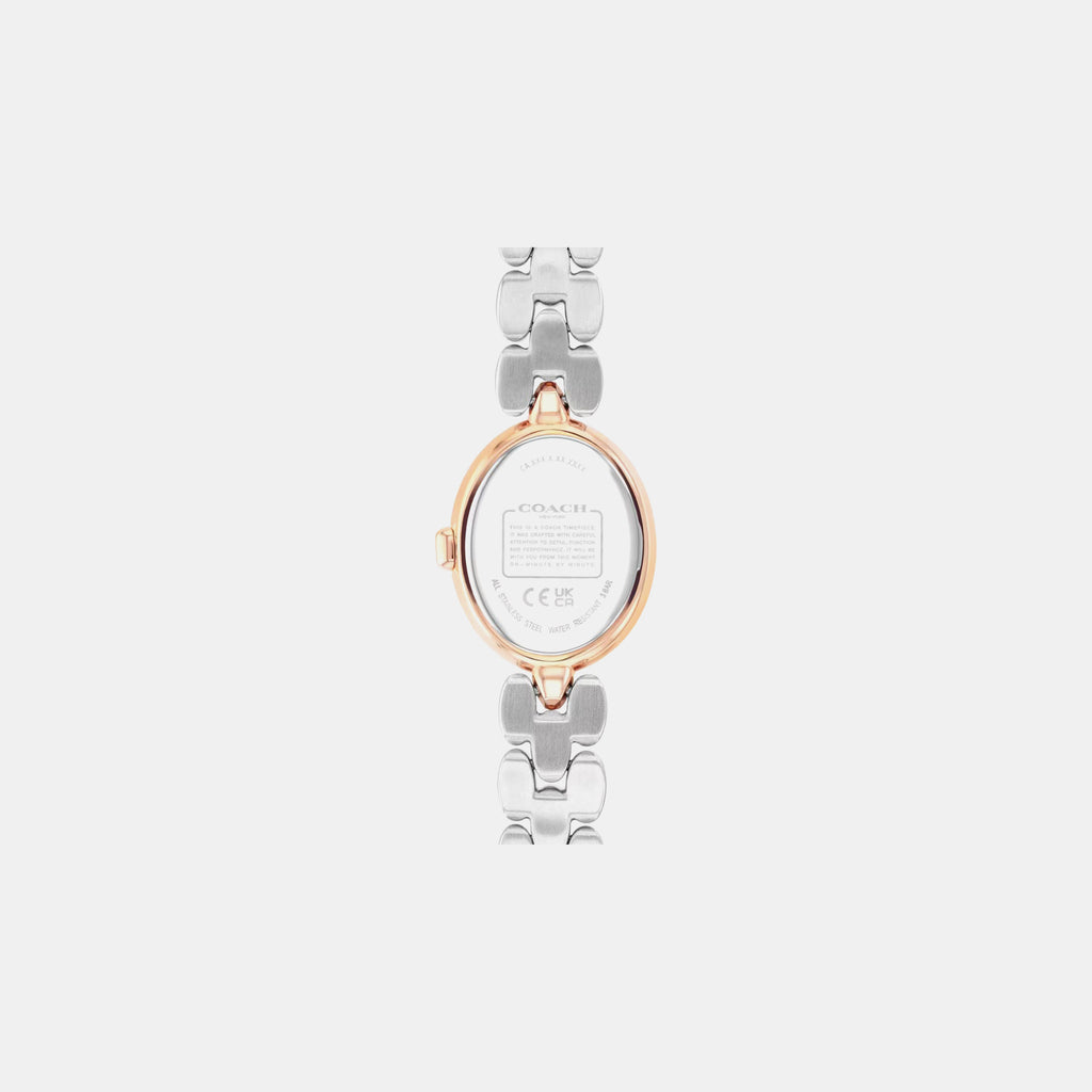 Sammy Women Quartz Green Dial Analog Stainless Steel Watch 14504641