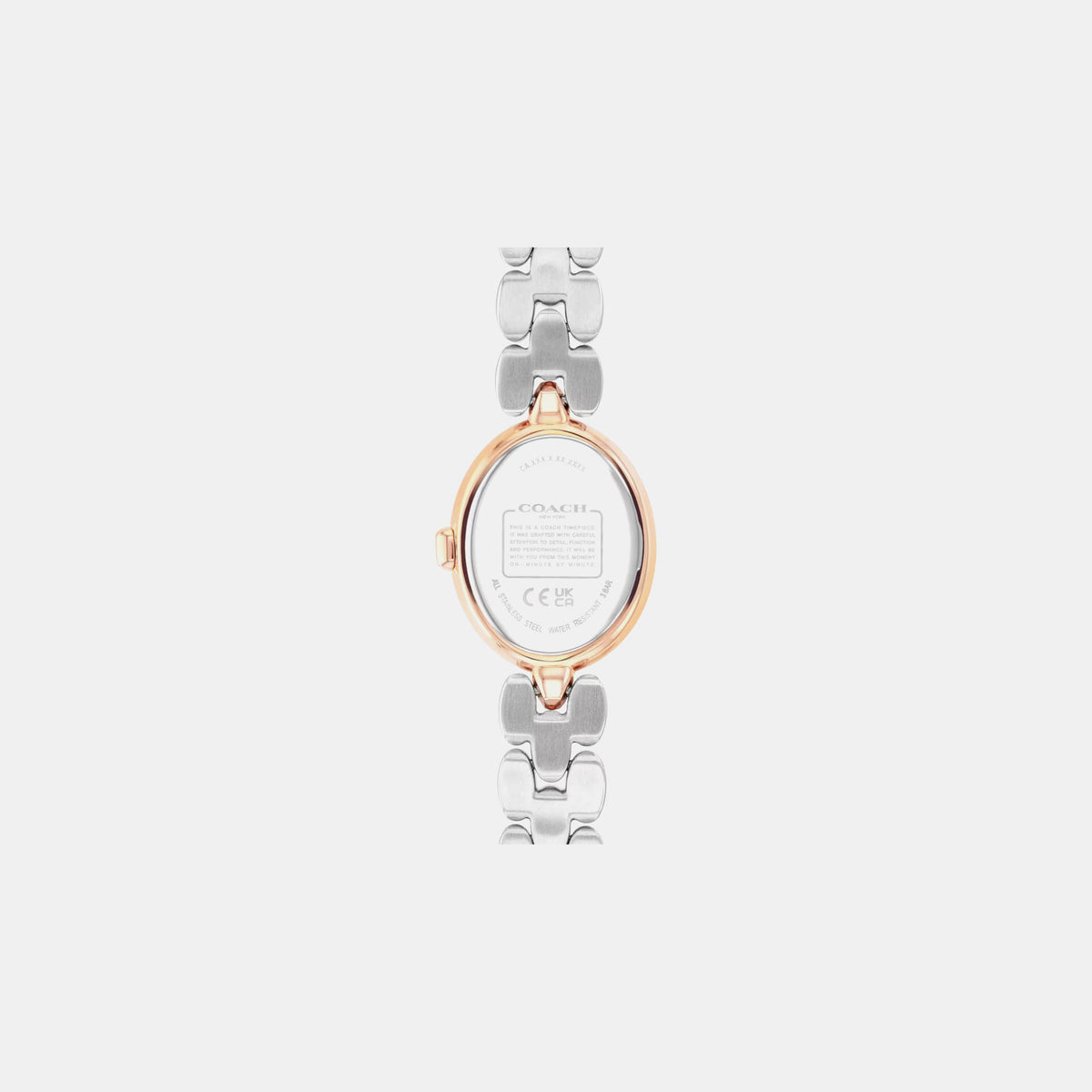 Sammy Women Quartz Green Dial Analog Stainless Steel Watch 14504641
