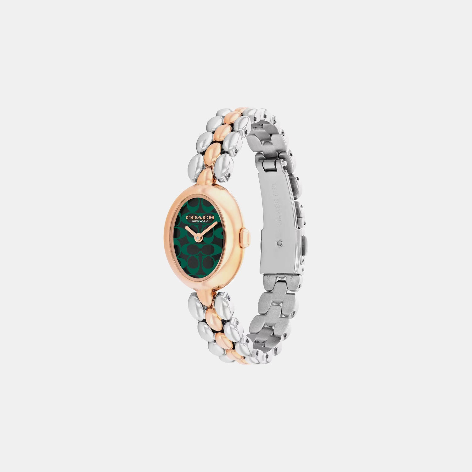 Sammy Women Quartz Green Dial Analog Stainless Steel Watch 14504641