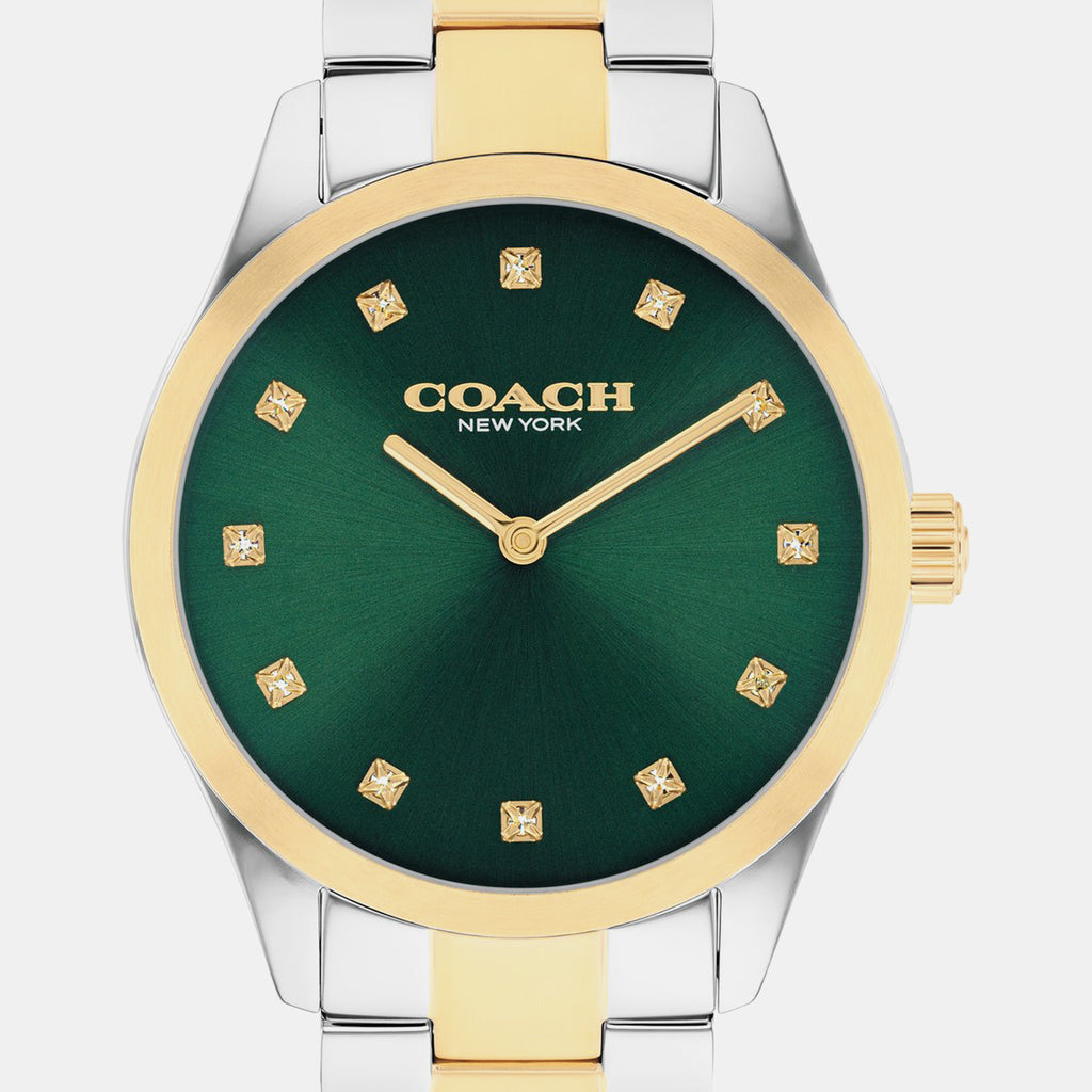 Brooks Women Quartz Green Dial Analog Stainless Steel Watch 14504642