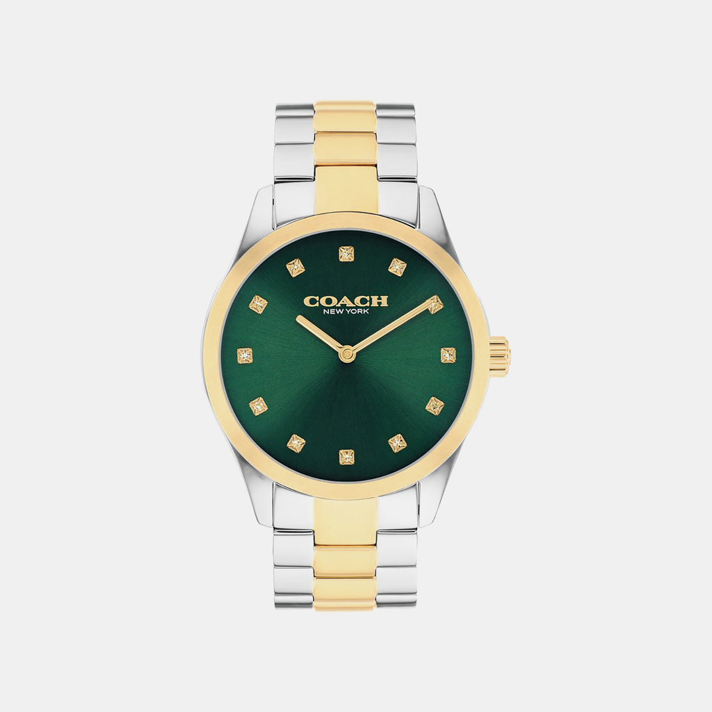 Brooks Women Quartz Green Dial Analog Stainless Steel Watch 14504642