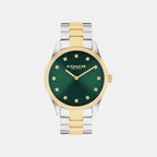 Brooks Women Quartz Green Dial Analog Stainless Steel Watch 14504642