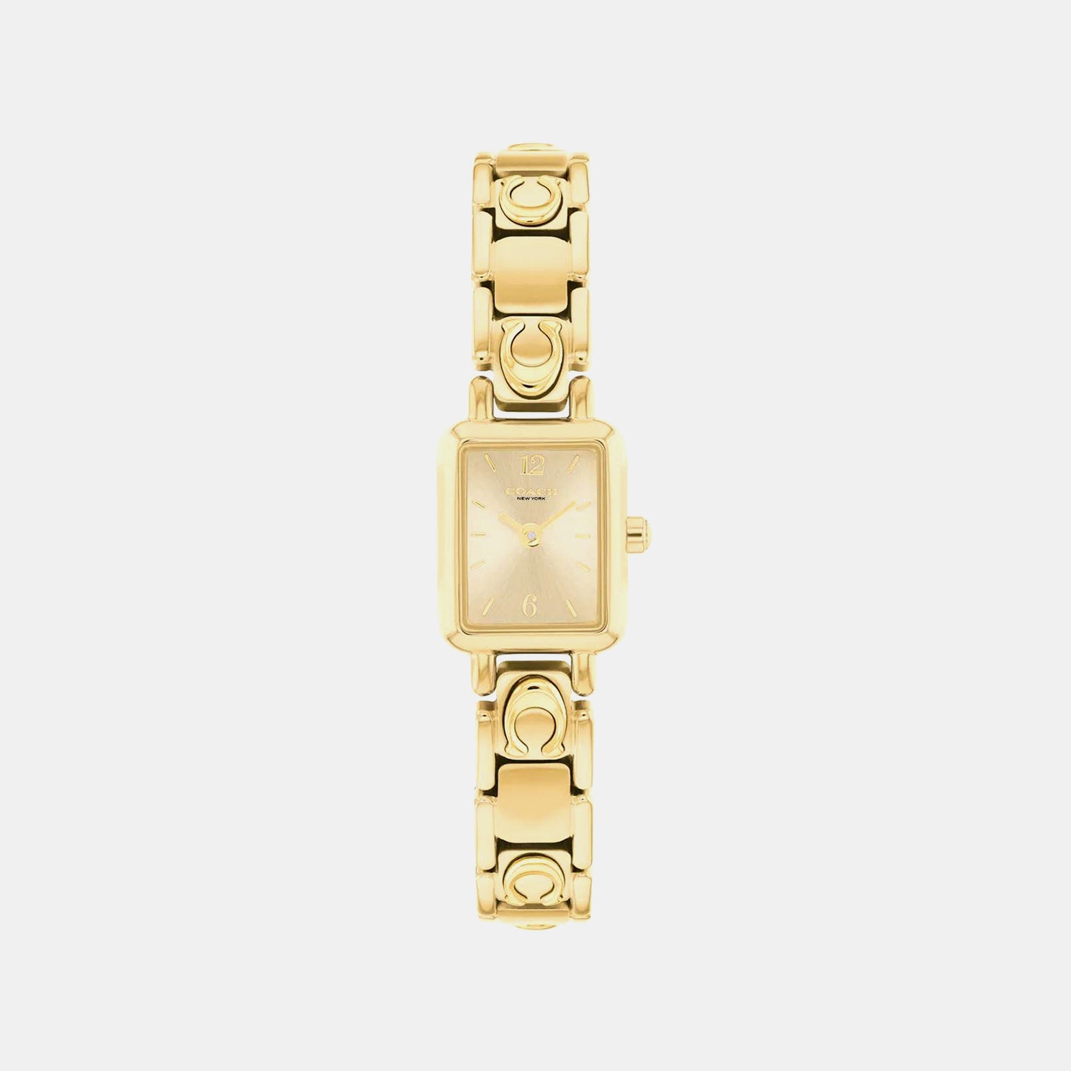 Mara Women Quartz Gold Dial Analog Watch 14504672