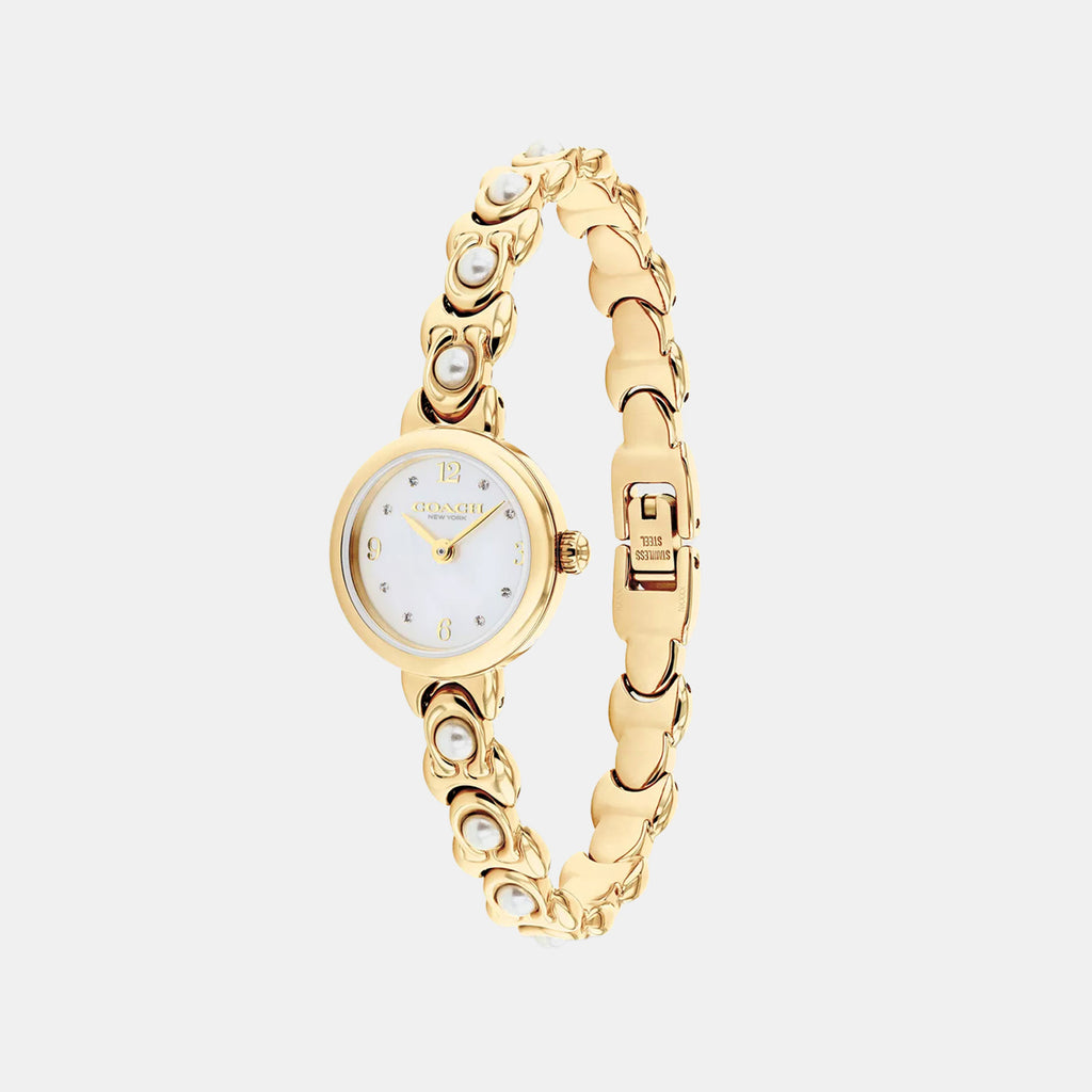 Iris Women Quartz White Dial Analog Stainless Steel Watch 14504699