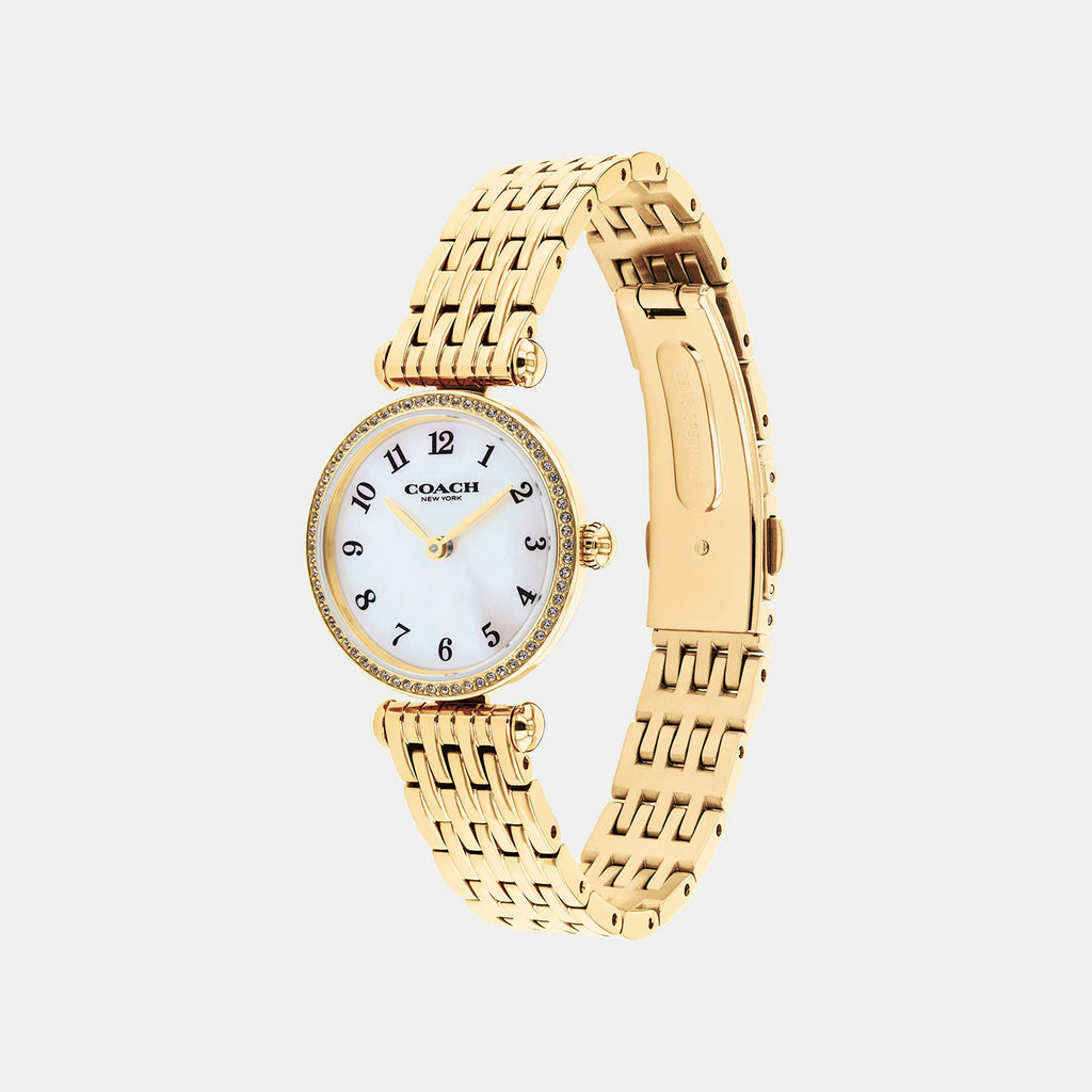 Cary Women Quartz White Mother Of Pearl Dial Analog Stainless Steel Watch 14504704