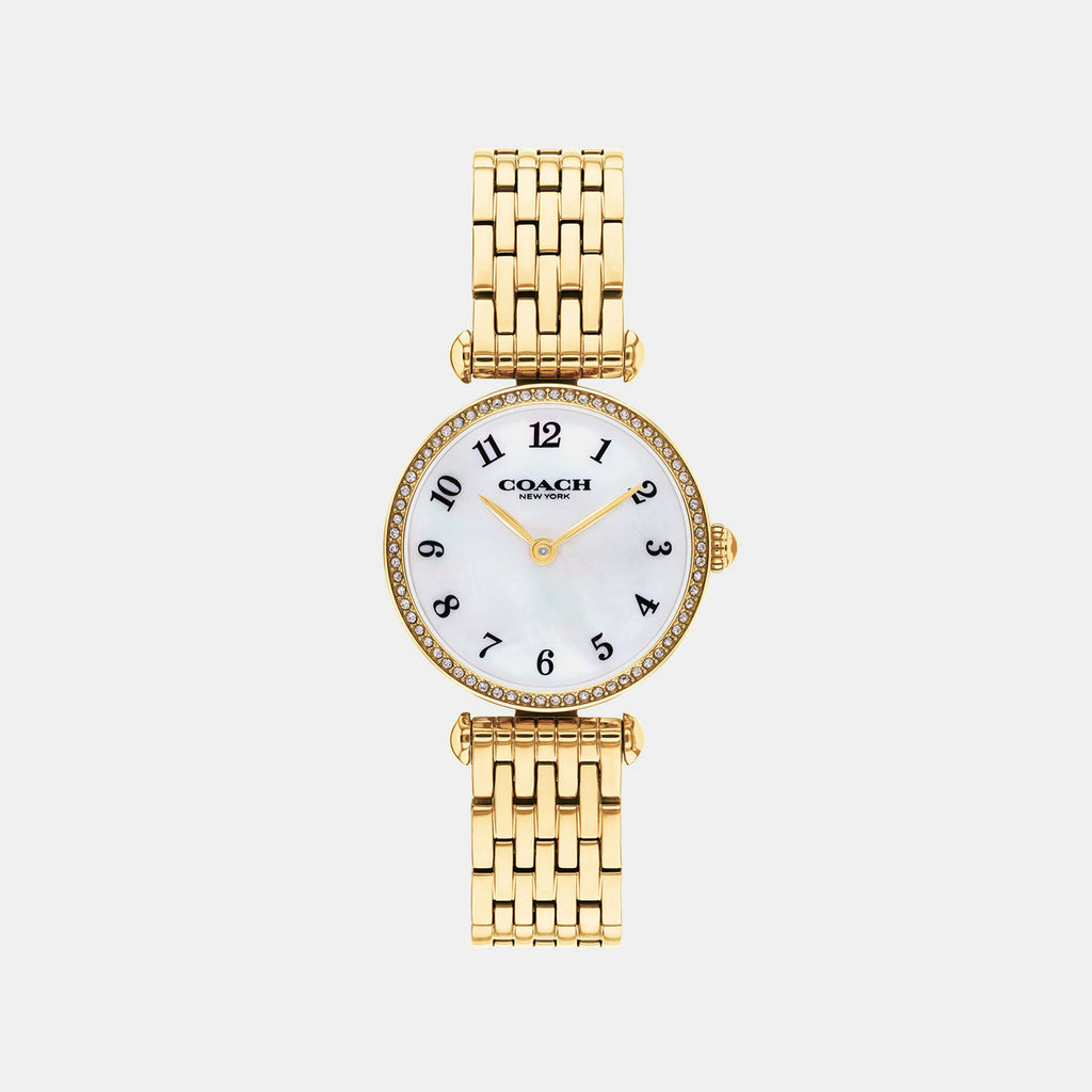 Cary Women Quartz White Mother Of Pearl Dial Analog Stainless Steel Watch 14504704