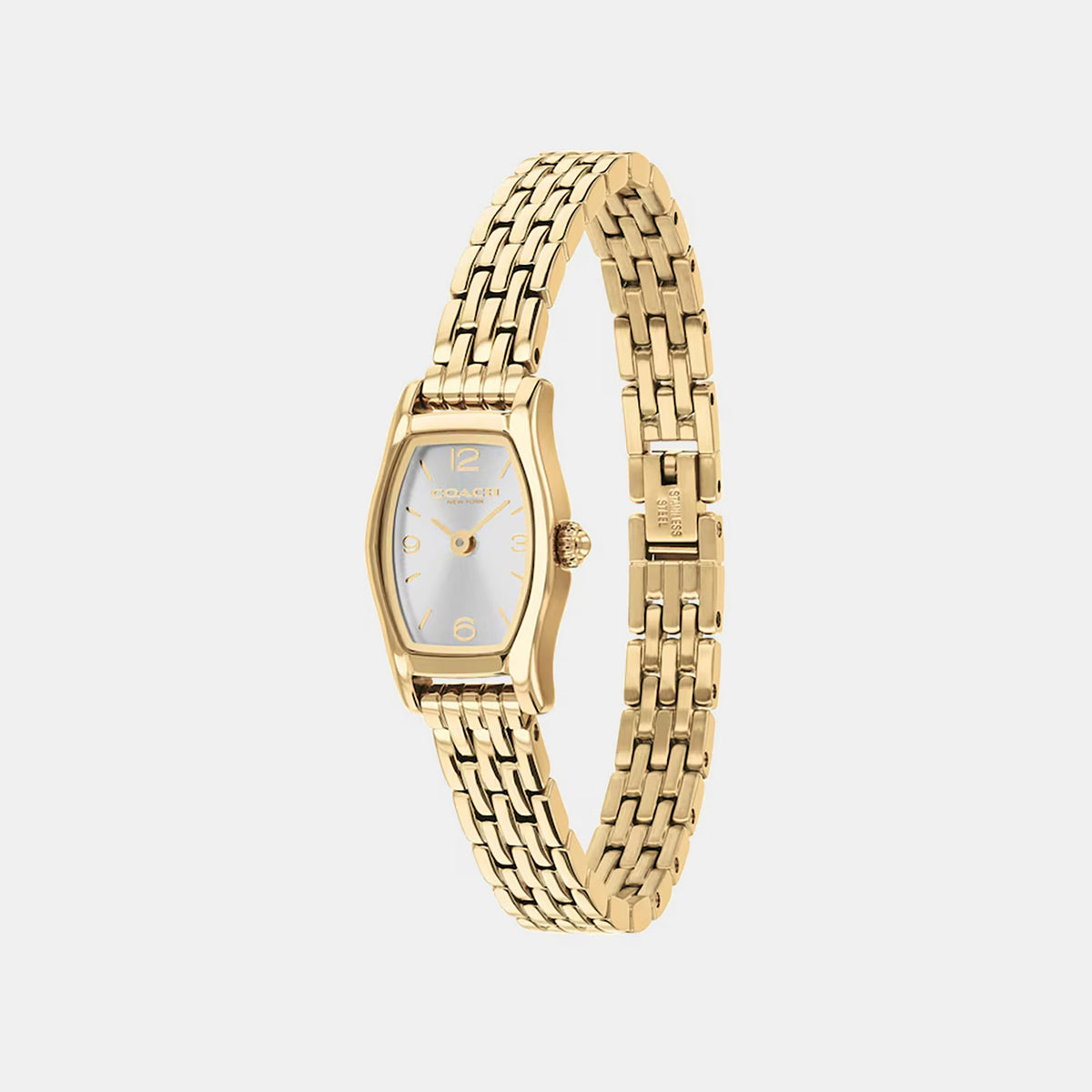Greta Women Quartz Silver Dial Analog Stainless Steel Watch 14504716