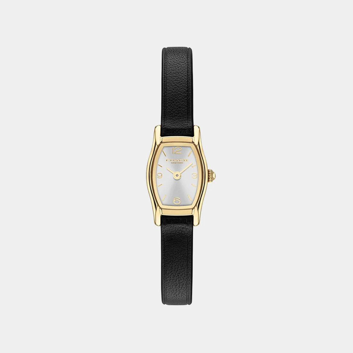Women Quartz Silver Dial Analog Leather Watch 14504719
