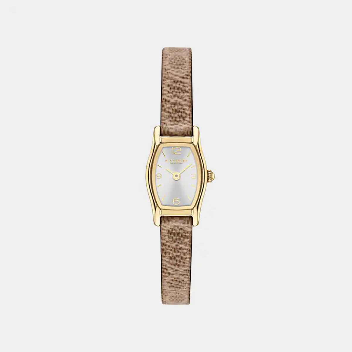 Greta Women Quartz Silver Dial Analog Leather Watch 14504720