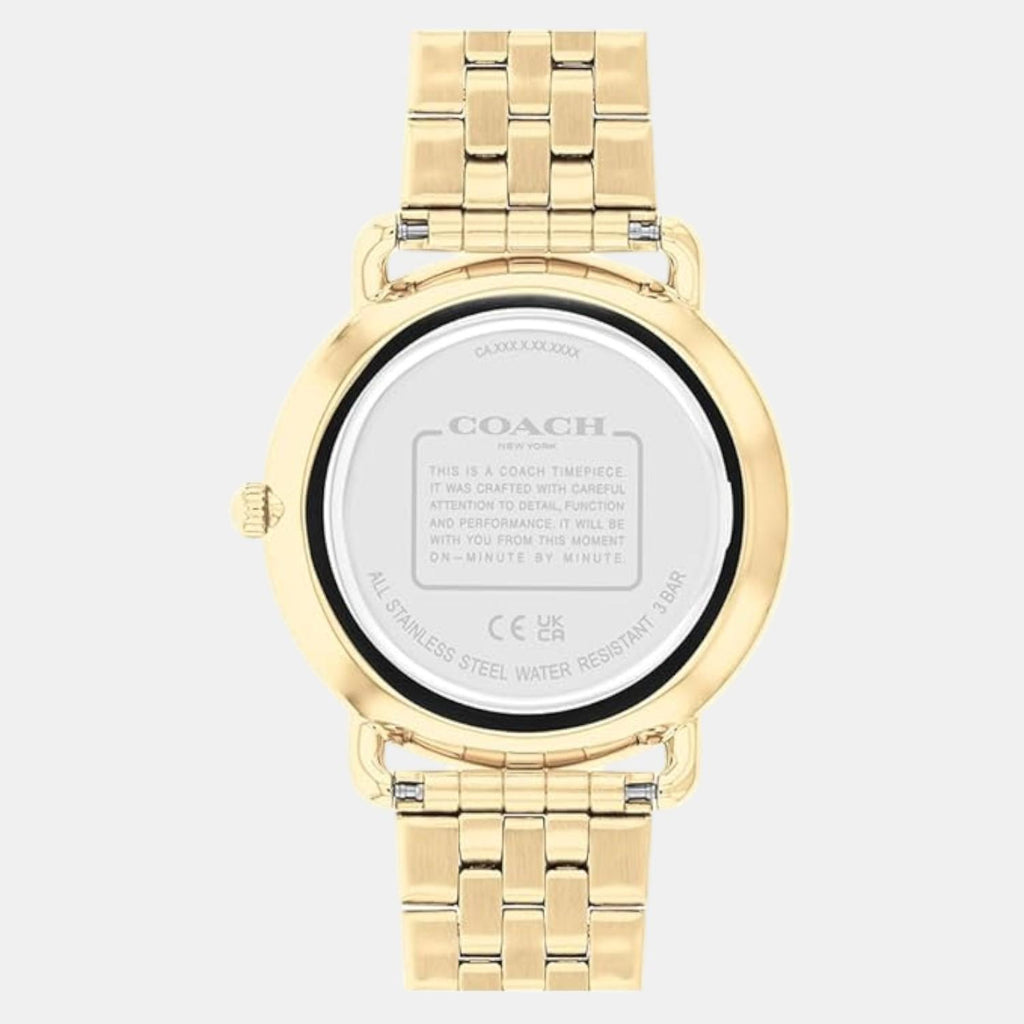 Elliot Men Quartz Black Dial Analog Stainless Steel Watch 14602669