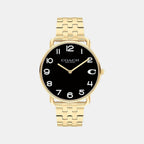 Elliot Men Quartz Black Dial Analog Stainless Steel Watch 14602669