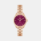 Sage Women Quartz Red Dial Analog Stainless Steel Watch 1502728