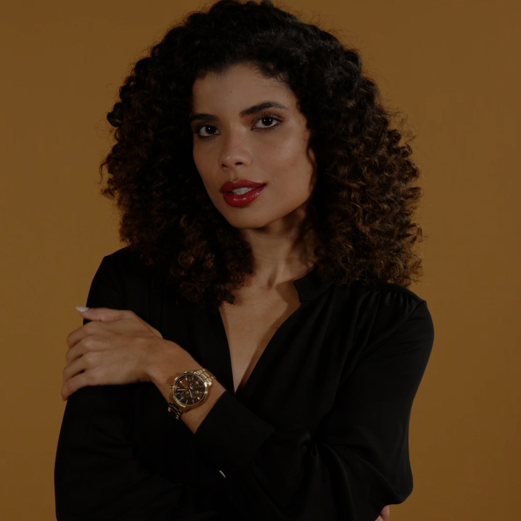 Boss Stainless Steel Brown watch