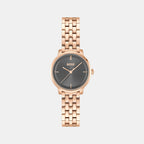 Lucia Women Quartz Grey Dial Analog Stainless Steel Watch 1502820
