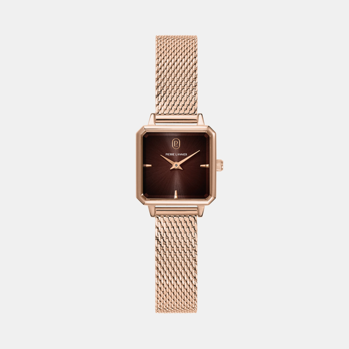 Leonor Women Quartz Brown Dial Analog Mesh Watch 168F788