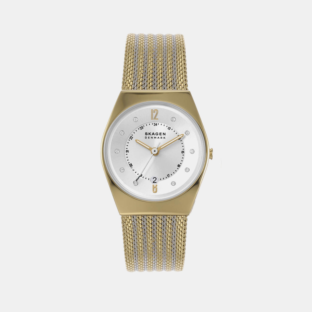 Skagen Round Silver Analog watch