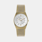 Skagen Round Silver Analog watch