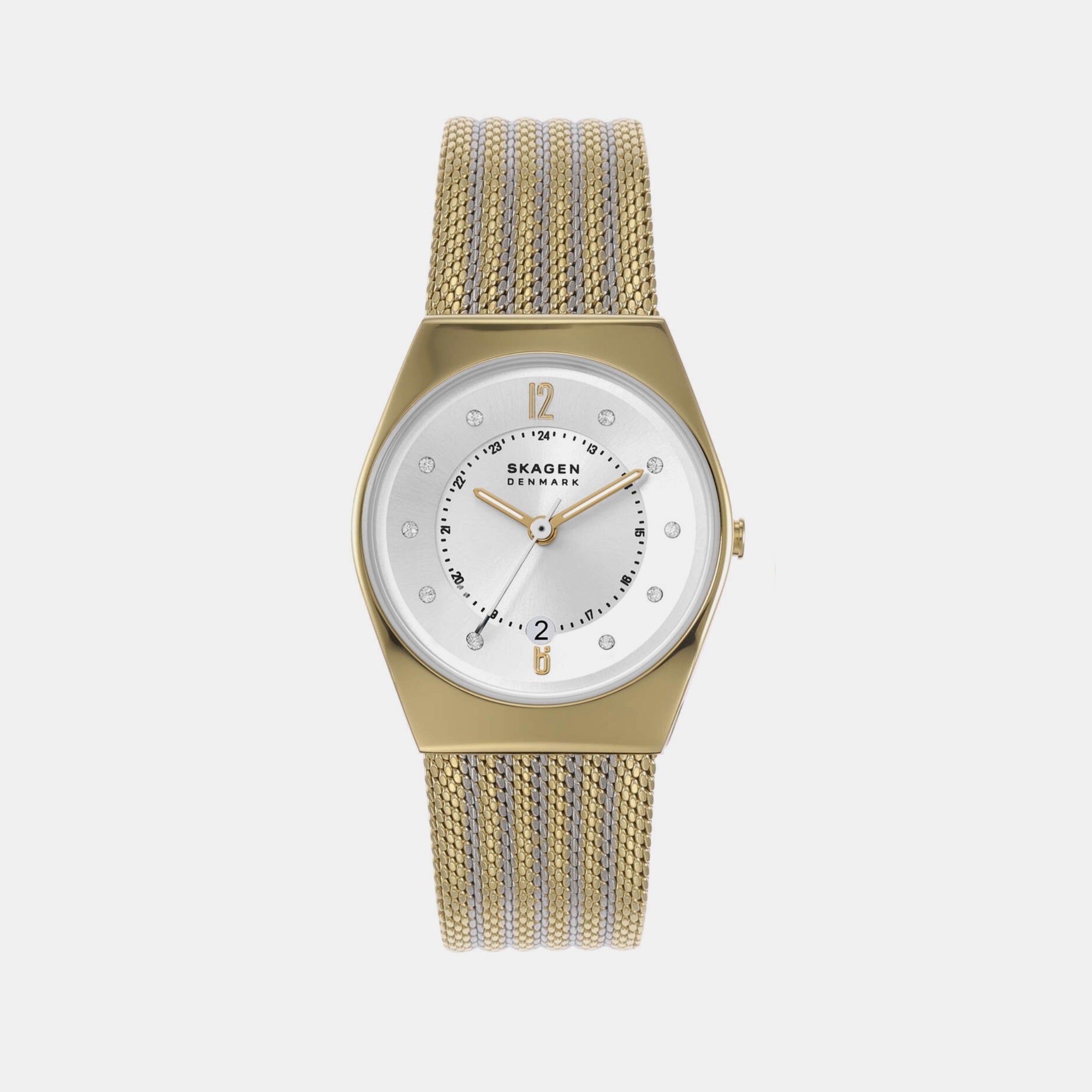 Skagen Round Silver Analog watch