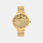 Darren Clark Round Champaign Analog watch