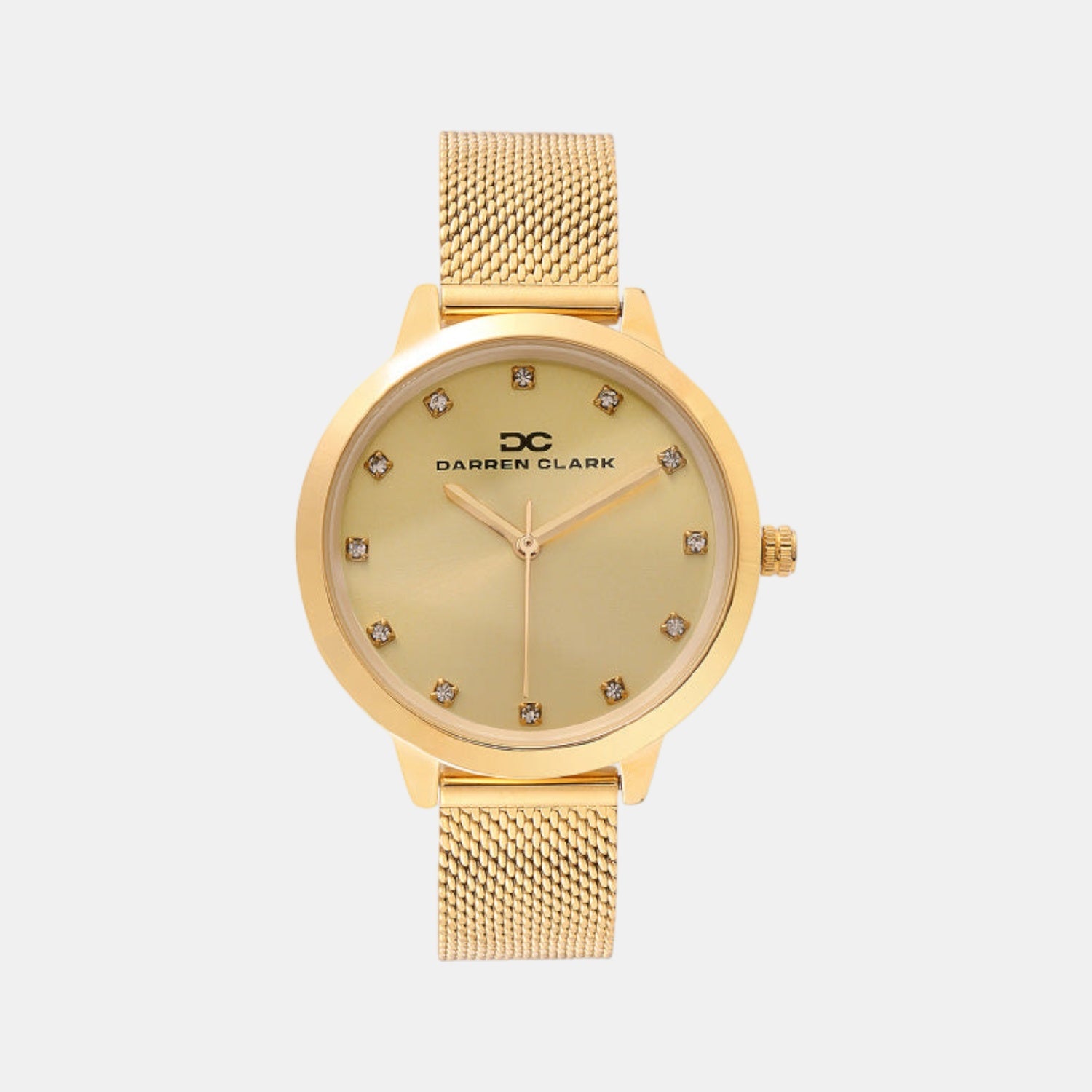 Women Quartz Champagne Dial Analog Mesh Watch 2008B-E0208
