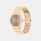 Ck Linear Elegance Women Quartz Brown Dial Analog Stainless Steel Watch 25100078