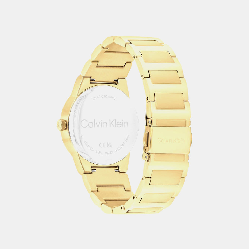 Ck Linear Elegance Women Quartz Grey Dial Analog Stainless Steel Watch 25100082