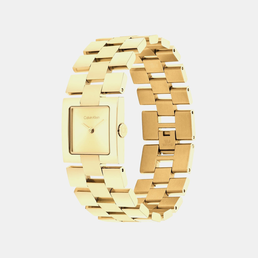 Ck Meridian Women Quartz Gold Dial Analog Stainless Steel Watch 25100089