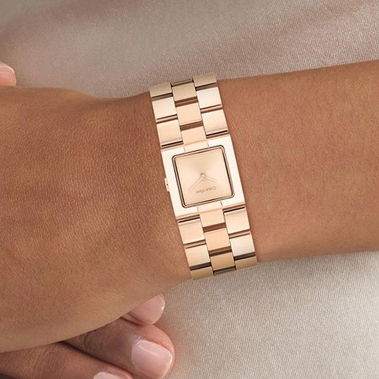 Ck Meridian Women Quartz Light Rose Gold Dial Analog Stainless Steel Watch 25100090