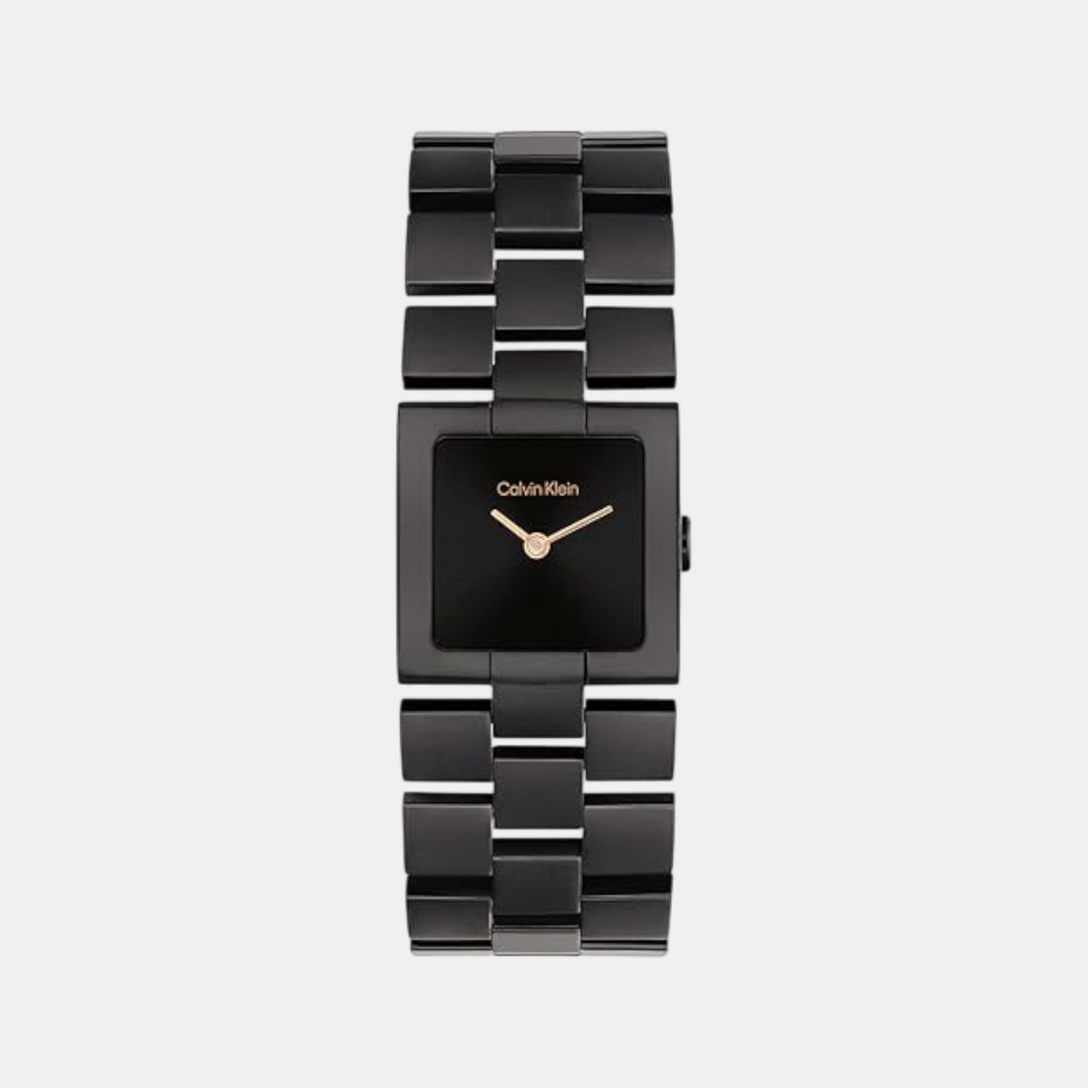 Ck Meridian Women Quartz Black Dial Analog Stainless Steel Watch 25100091