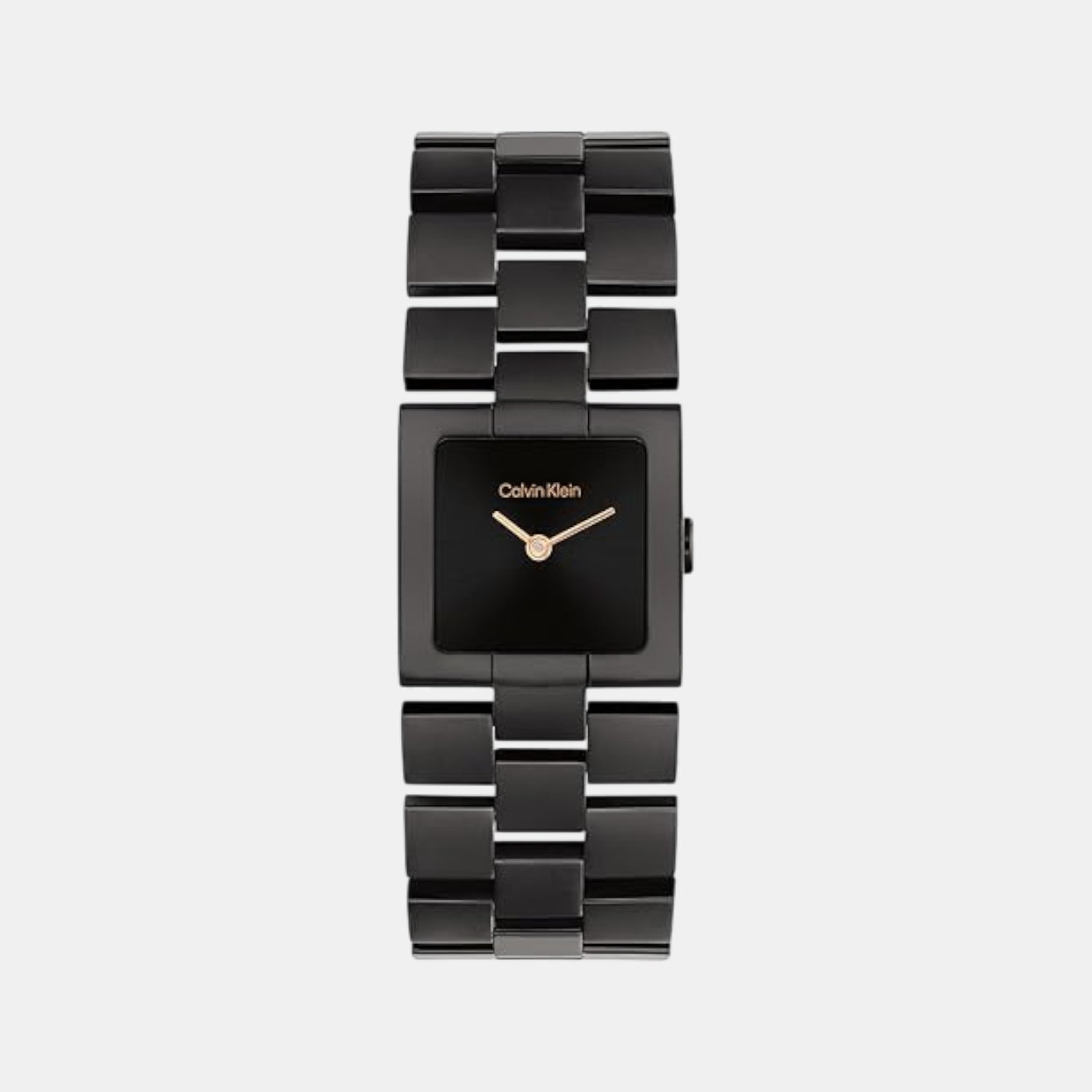 Ck Meridian Women Quartz Black Dial Analog Stainless Steel Watch 25100091