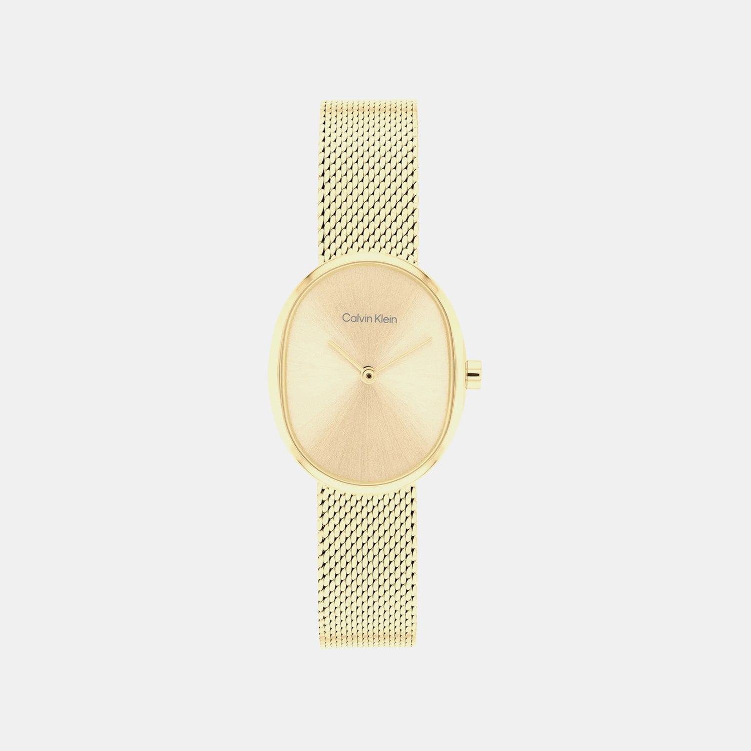 Euphoria Women Quartz Gold Dial Analog Stainless Steel Watch 25100174