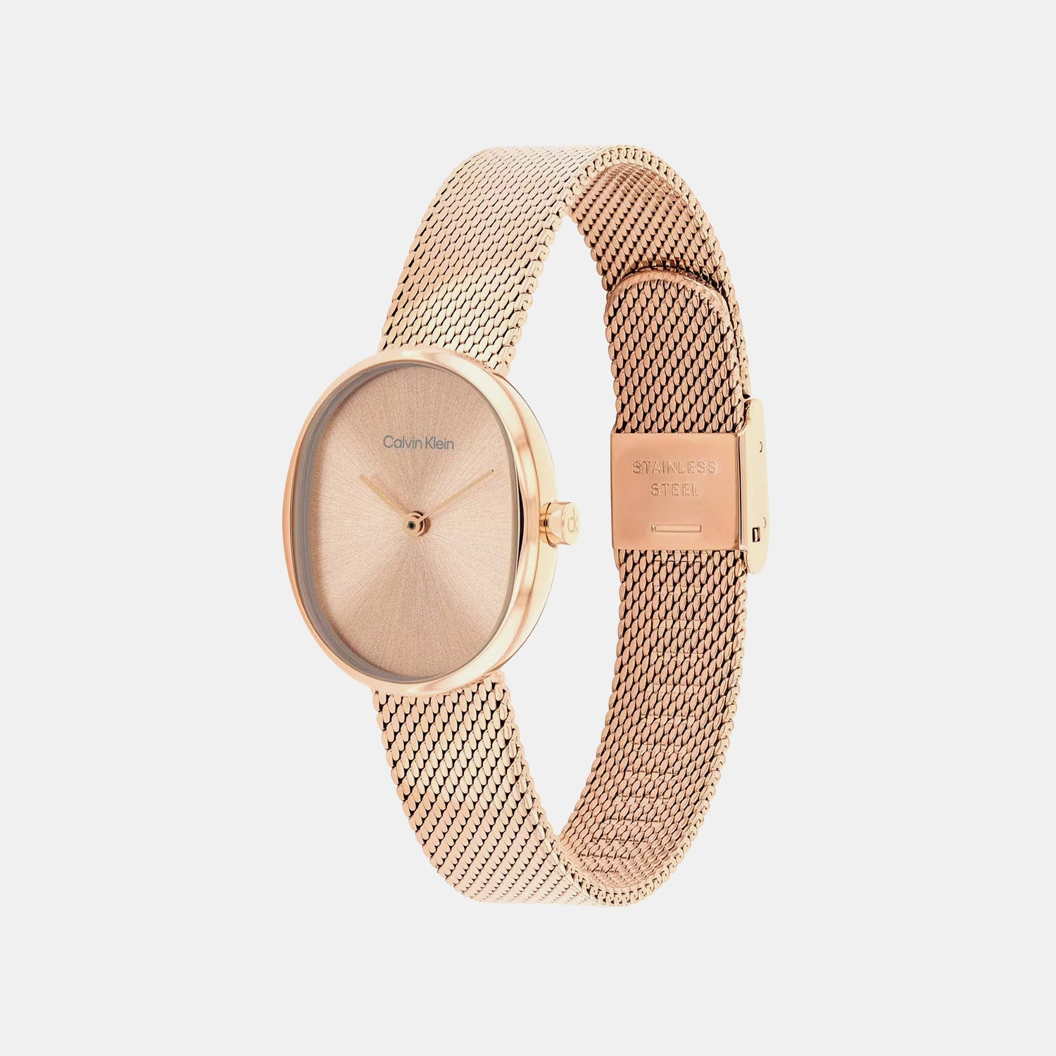 Euphoria Women Quartz Rose Gold Dial Analog Mesh Watch 25100175