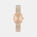 Euphoria Women Quartz Rose Gold Dial Analog Mesh Watch 25100175