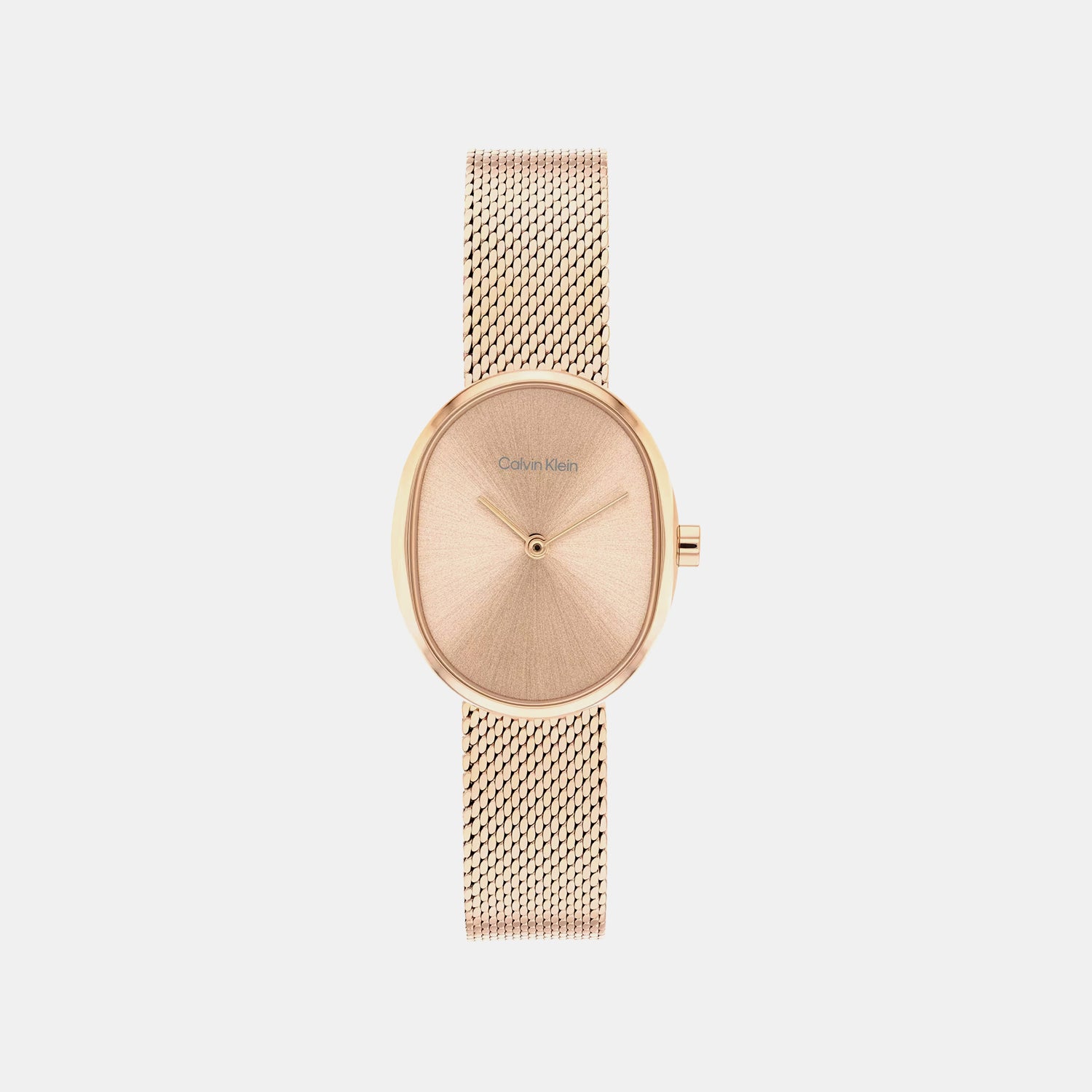 Euphoria Women Quartz Rose Gold Dial Analog Mesh Watch 25100175